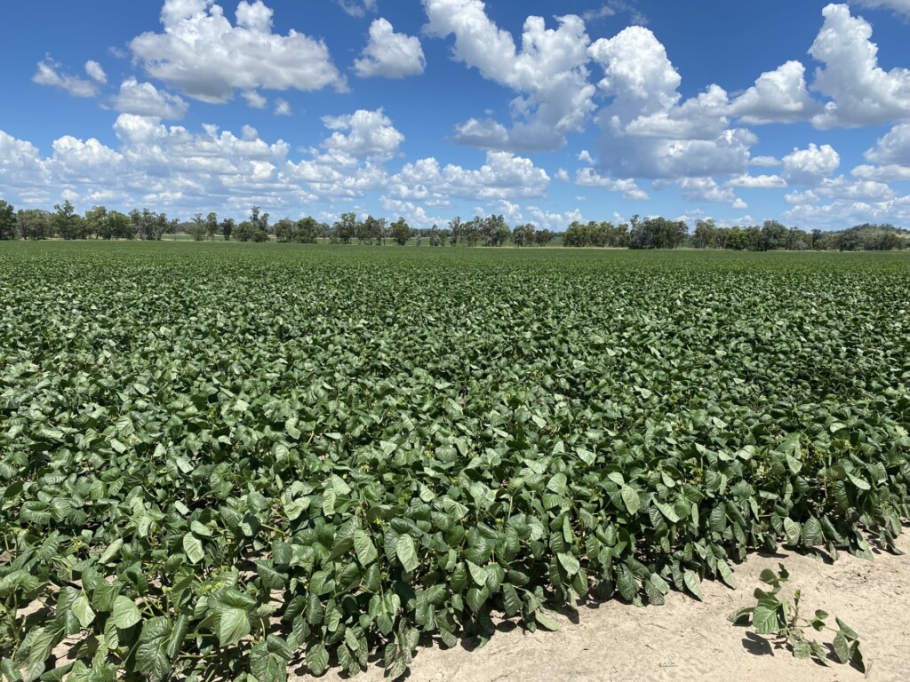 Versatile Postmans Aggregation