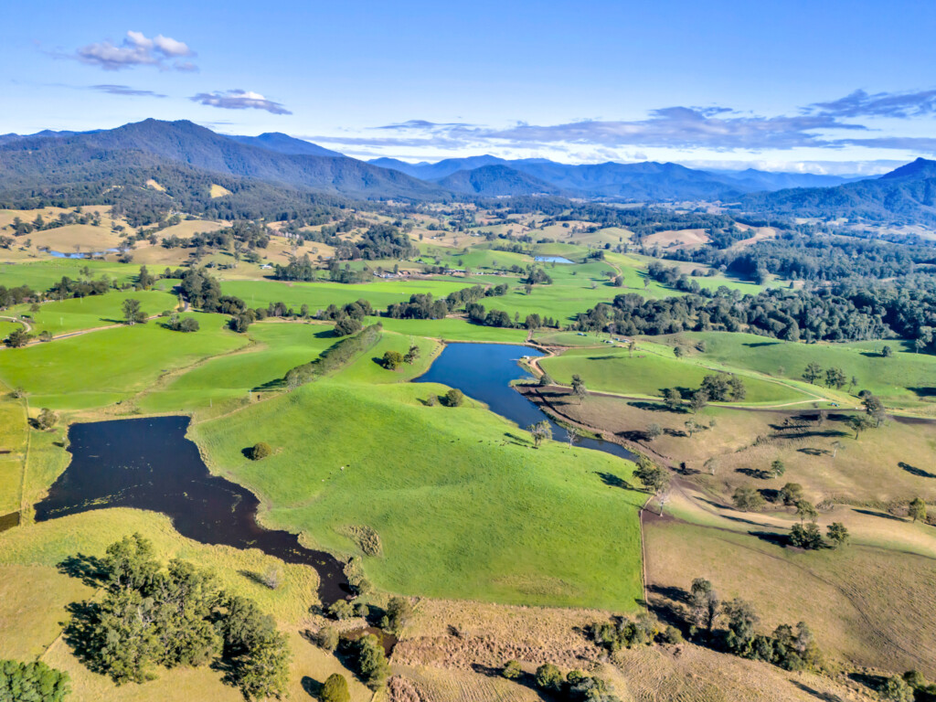 Elaia dairy property