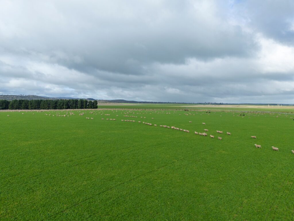 Highly developed, premium Evandale asset offered for first time in more than 70 years