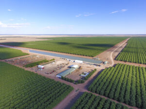 Lachlan and Murrumbidgee Portfolio